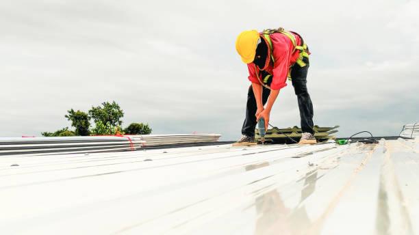 Best Roofing for New Construction  in Culver City, CA