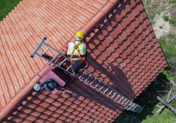 Best Roof Coating Services  in Culver City, CA